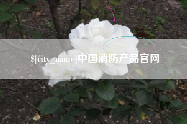 宜城中国消防产品官网