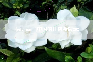 宜城中国的几块金牌2021
