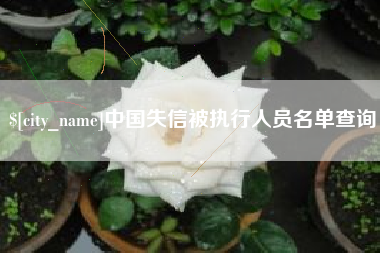 宜城中国失信被执行人员名单查询