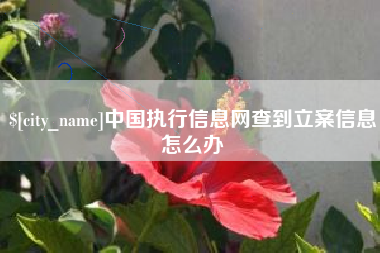 宜城中国执行信息网查到立案信息怎么办