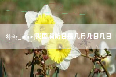 宜城我国消防日是几月几日几日