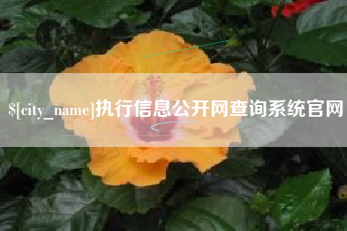 宜城执行信息公开网查询系统官网