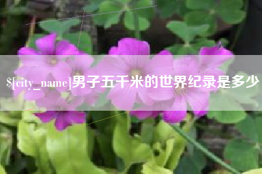 宜城男子五千米的世界纪录是多少