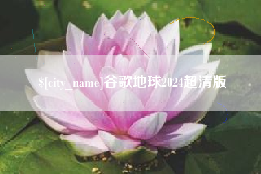 宜城谷歌地球2024超清版