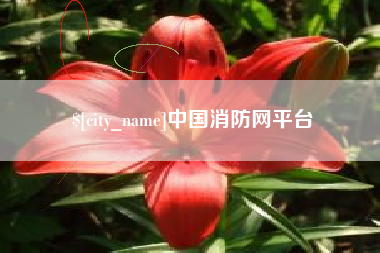 宜城中国消防网平台