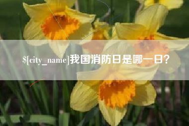 宜城我国消防日是哪一日？