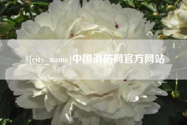 宜城中国消防网官方网站