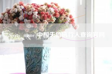 宜城中国失信执行人查询官网