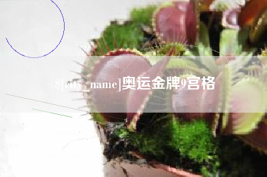 宜城奥运金牌9宫格