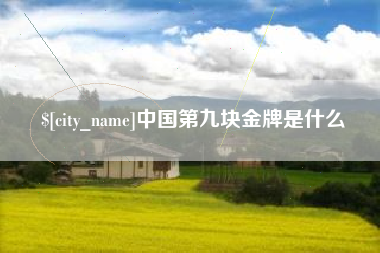 宜城中国第九块金牌是什么