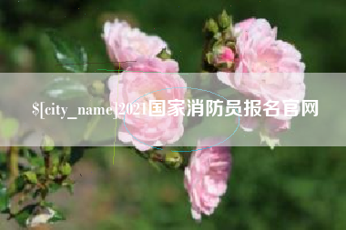 宜城2021国家消防员报名官网