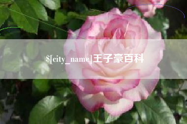 宜城王子豪百科