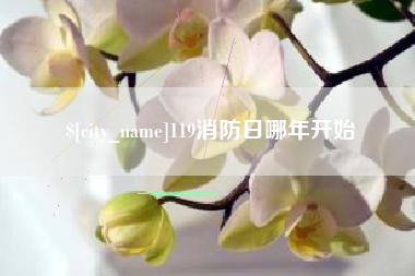 宜城119消防日哪年开始