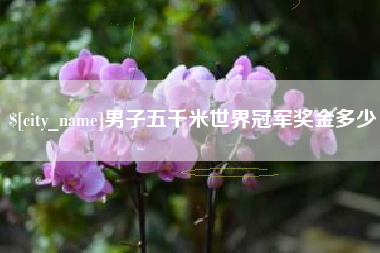 宜城男子五千米世界冠军奖金多少