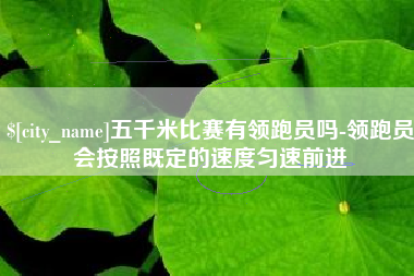 宜城五千米比赛有领跑员吗-领跑员会按照既定的速度匀速前进