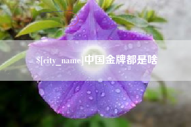 宜城中国金牌都是啥