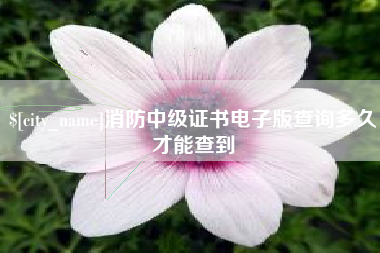 宜城消防中级证书电子版查询多久才能查到