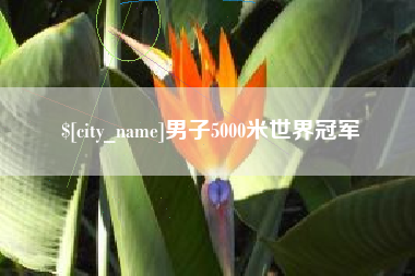 宜城男子5000米世界冠军