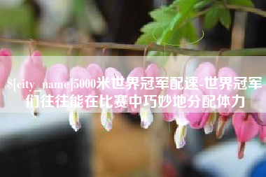 宜城5000米世界冠军配速-世界冠军们往往能在比赛中巧妙地分配体力