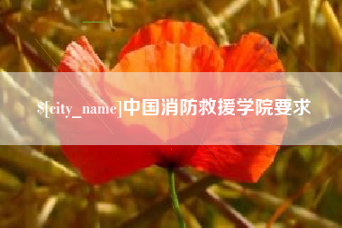 宜城中国消防救援学院要求