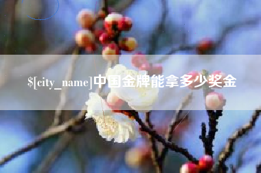 宜城中国金牌能拿多少奖金