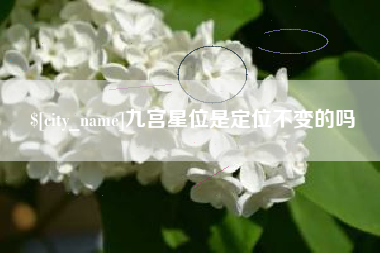 宜城九宫星位是定位不变的吗