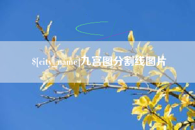 宜城九宫图分割线图片