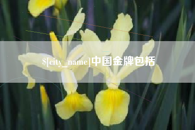 宜城中国金牌包括