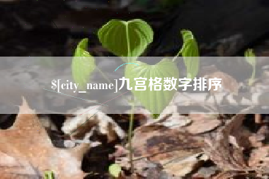 宜城九宫格数字排序
