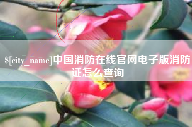 宜城中国消防在线官网电子版消防证怎么查询