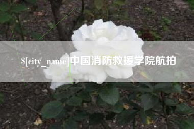 宜城中国消防救援学院航拍