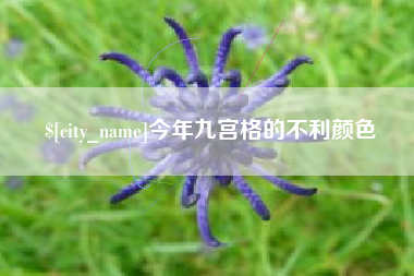 宜城今年九宫格的不利颜色