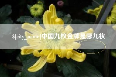 宜城中国九枚金牌是哪九枚