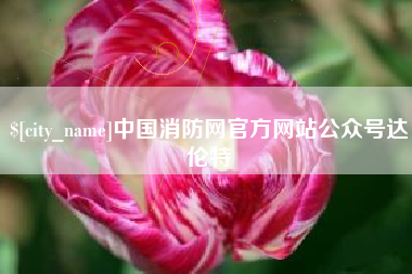宜城中国消防网官方网站公众号达伦特