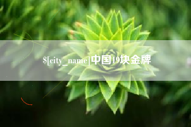宜城中国19块金牌