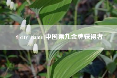 宜城中国第九金牌获得者