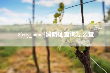 宜城消防证查询怎么查