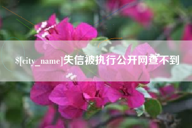 宜城失信被执行公开网查不到