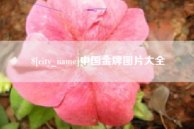 宜城中国金牌图片大全