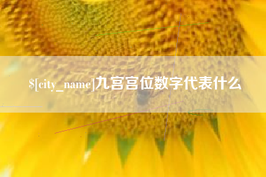 宜城九宫宫位数字代表什么