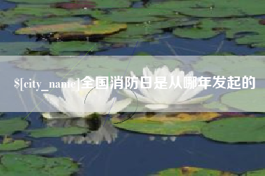 宜城全国消防日是从哪年发起的