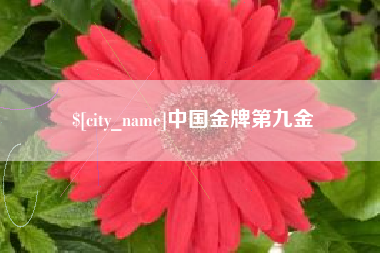 宜城中国金牌第九金