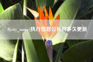 宜城执行信息公开网多久更新