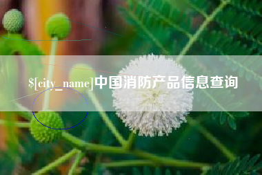 宜城中国消防产品信息查询