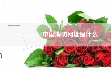 宜城中国消防网址是什么