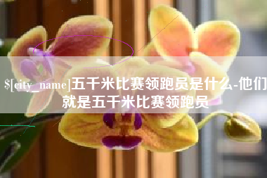 宜城五千米比赛领跑员是什么-他们就是五千米比赛领跑员