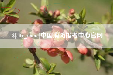 宜城中国消防报考中心官网