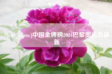宜城中国金牌榜2024巴黎奥运会最新