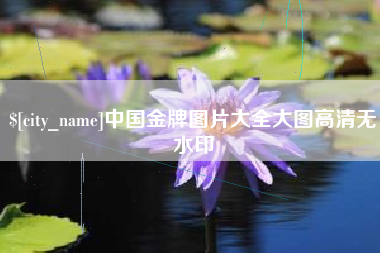 宜城中国金牌图片大全大图高清无水印