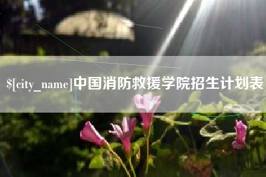宜城中国消防救援学院招生计划表